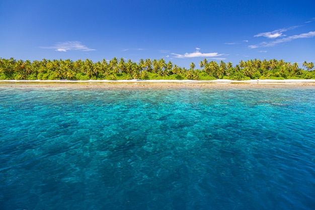 Incrível cena de natureza tropical, recife de coral, ilha paradisíaca, areia branca e palmeiras papel de parede