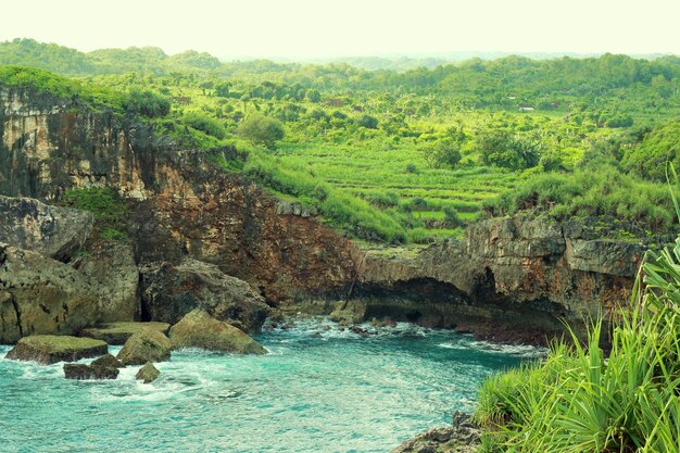 Incrível Green Hills e praia com corais em Yogyakarta, Krakal Beach,