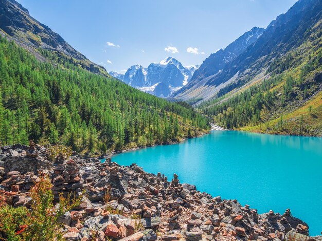 Incrível lago de montanha claro na floresta entre abetos no sol cenário brilhante com belo lago turquesa no contexto das montanhas cobertas de neve lago shavlin inferior