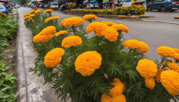 Incrível lindo melhor esta foto tirar esta foto para o seu trabalho AI gerado top foto maravilhosa