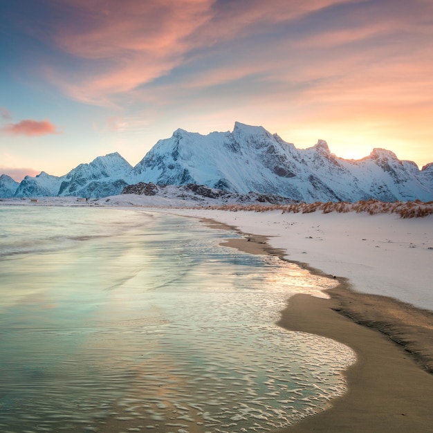 Incrível manhã de inverno sobre o mar e as montanhas colorido norte do nascer e luz solar em nuvens cor de rosa Ilhas Lofoten Noruega Europa