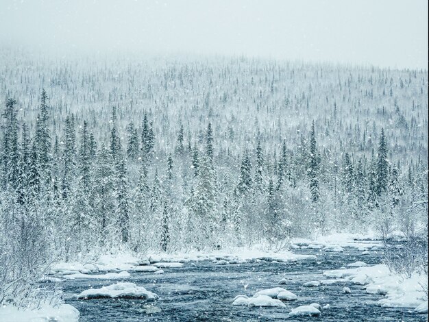 Incrível paisagem de inverno com um rio entre colinas cobertas de neve cobertas por floresta de coníferas.