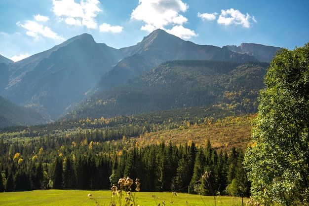 Incrível paisagem de montanhas da Eslováquia. Vale Bielovodska nos altos tatras.