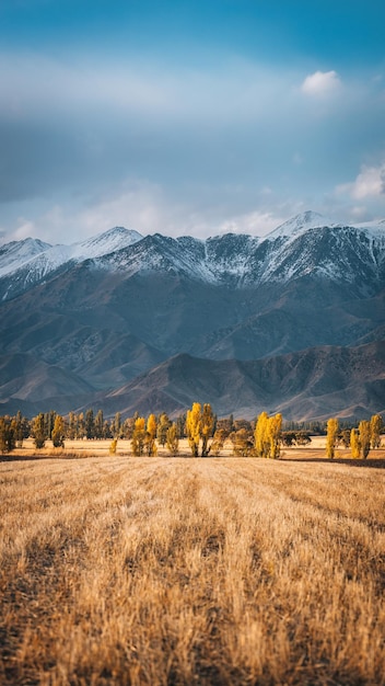 Incrível paisagem de outono do Quirguistão em uma noite de outono perto do lago IssykKul