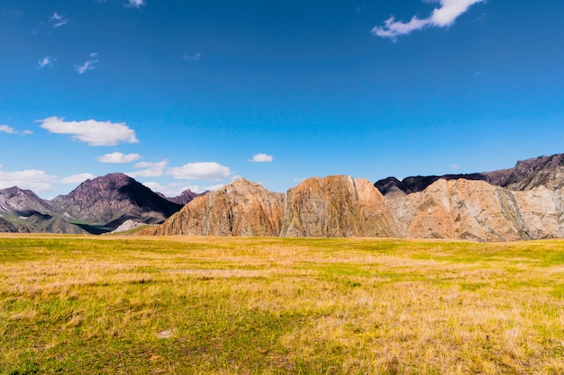 Incrível paisagem do vale da montanha altai com rock