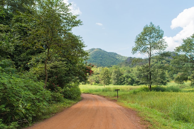 Incrível Tailândia de Suan Hin Pha Ngam em Loei, Tailândia