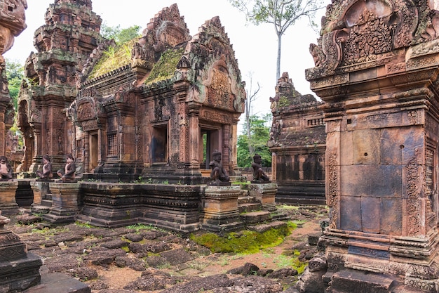 Incrível, templo, antiga, Bayon, castelo