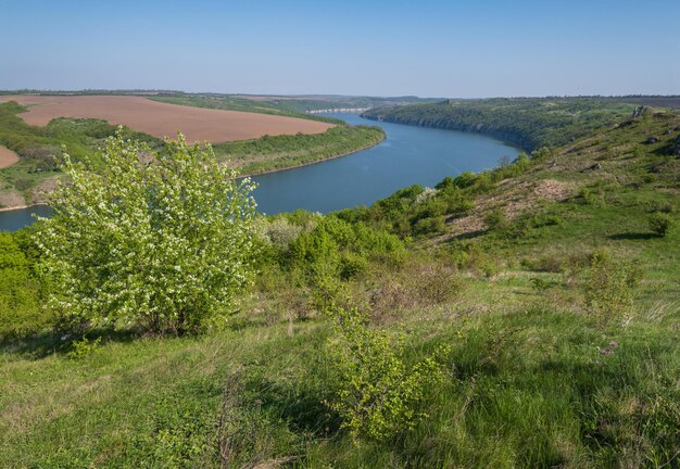 Incrível vista da primavera no rio Dnister Canyon com flores pitorescas de campos de rochas Este lugar chamado Shyshkovi Gorby Nahoriany Chernivtsi region Ucrânia