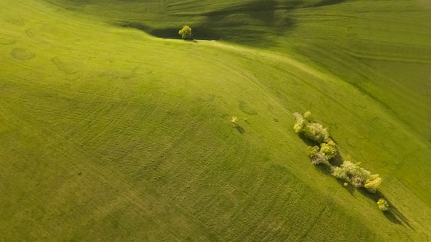 Incrivelmente bela vista aérea paisagem prados verdes campos árvores