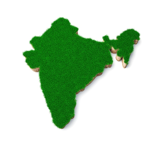 India mapa suelo tierra geología sección transversal con hierba verde ilustración 3d