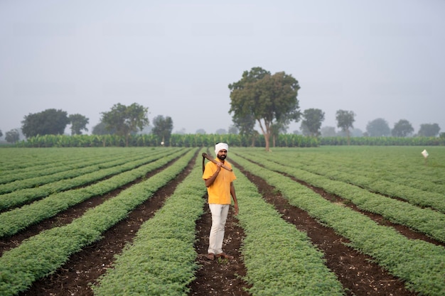 Indische Bauern, die Spaten verwenden, die auf einer Farm arbeiten