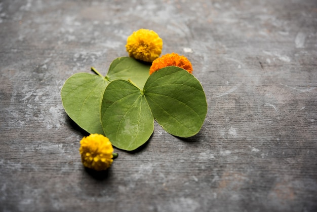 Foto indische festival-grußkarte - happy dussehra, mit goldenem blatt und blumen auf stimmungsvollem hintergrund. .