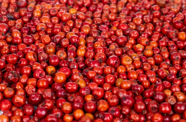 Indische Frucht Rote Beere