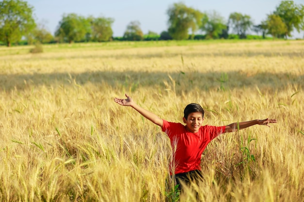 Indischer / asiatischer kleiner Junge, der im Weizenfeld spielt
