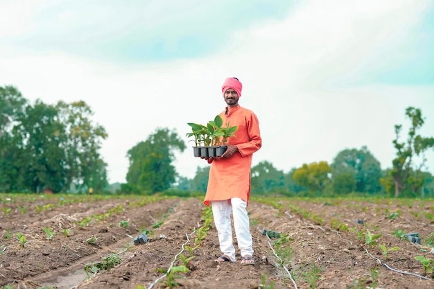 Indischer Bauer, der Bananenpflanze auf dem Landwirtschaftsfeld hält und zeigt