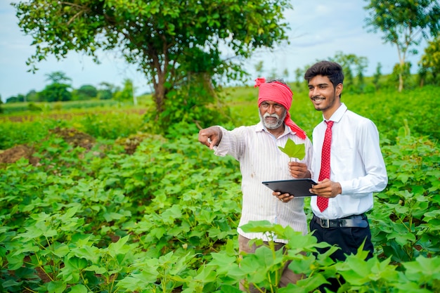 Indischer Bauer mit Agronom am Baumwollfeld, der einige Informationen auf der Registerkarte zeigt