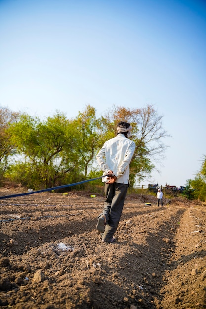 Indischer Bauer oder Arbeit Tropfbewässerungsrohr montieren im Landwirtschaftsbereich. ländliche Szene.