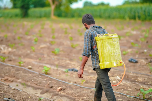 Indischer Bauer sprüht Pestizide auf dem Feld der grünen Bananenlandwirtschaft