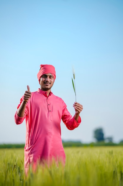 Indischer Landwirt, der Erntepflanze in der Hand am Weizenfeld auf Himmelhintergrund hält