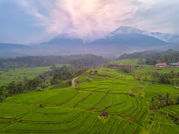 Indonesia. Isla de Bali. Tarde sobre las terrazas de arroz. Niebla en las montañas después de la lluvia. Vista aérea