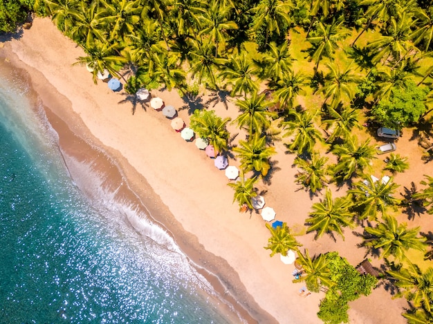 Indonesia. Playa de arena tropical y muchas palmeras. Agua color esmeralda y sombrillas. Vista aérea verticalmente hacia abajo