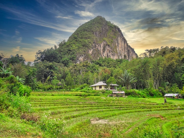 Indonésia, Sulawesi, Ilha Celebes, Tana Toraja