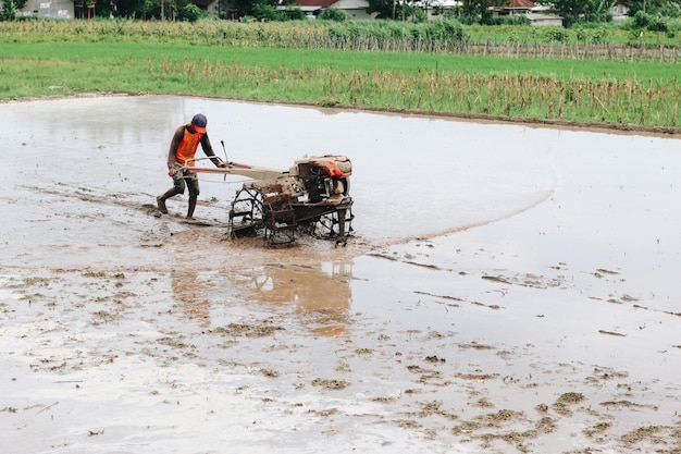 Indonesien Bauer pflügt ein Reisfeld mit Pinnentraktor