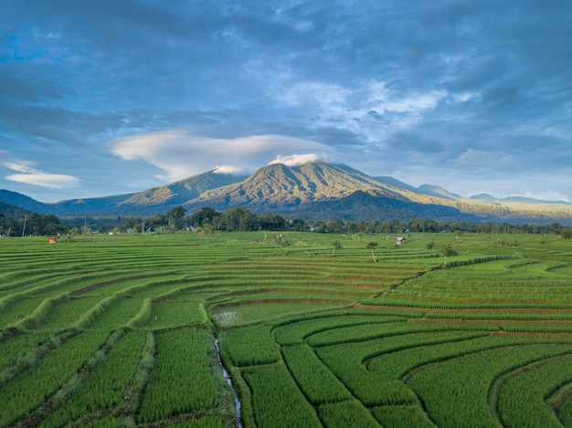 Indonesien-Luftlandschaftsschönheitsnatur-Grünberg