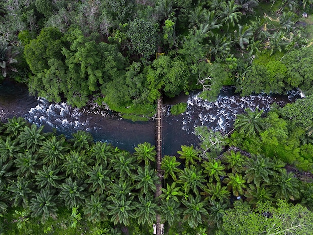 Indonesiens Naturlandschaft mit Wäldern und wunderschönen Flussläufen