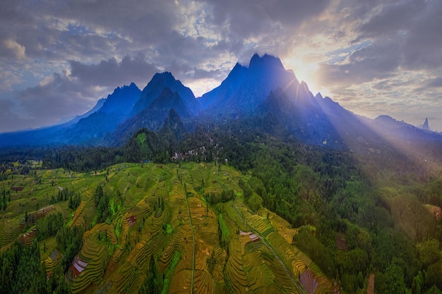 Indonesische Naturlandschaft mit Luftaufnahmen von Reisfeldern und Bergen bei Sonnenaufgang
