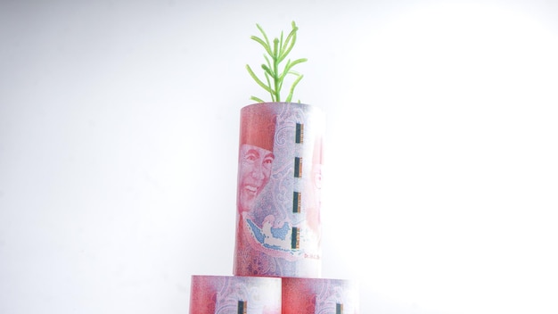 Indonesisches Rupiah-Geld in Rollen mit grüner Jungpflanze wächst auf Finance And Investment Concept Selective Focus