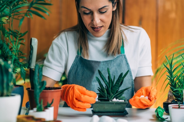 Indoor-Gartenarbeit Beginnen eines Hausgartens