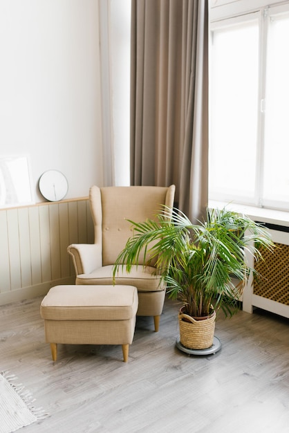 Indoor-Palme in einem Topf im Inneren des Wohnzimmers Beige Sessel neben dem Fenster