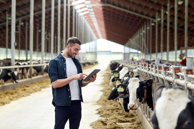 Industria agrícola, agricultura, gente, tecnología y concepto de cría de animales: joven o granjero con tableta y vacas en un establo en una granja lechera