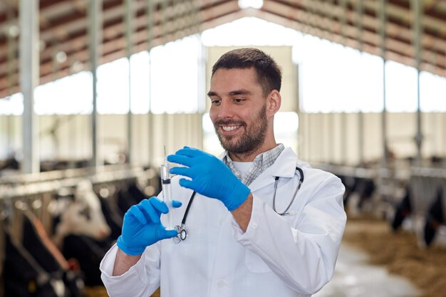 Foto industria agrícola, agricultura, medicina, vacunación animal y concepto de personas - veterinario o médico con jeringa vacunando vacas en establo en granja lechera