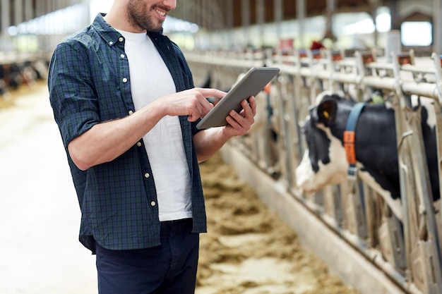 industria agrícola, agricultura, personas, tecnología y concepto de cría de animales - hombre joven o agricultor con computadora de tablet pc y vacas en establo en granja lechera