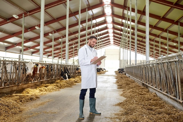 indústria agrícola, agricultura, pessoas e criação de animais conceito - veterinário ou médico com papel higiênico e rebanho de vacas no celeiro da fazenda leiteira