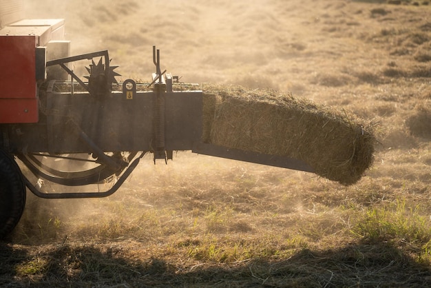 industria agrícola, maquinaria de recolección de césped o compactador de césped en el campo. la alimentación animal.