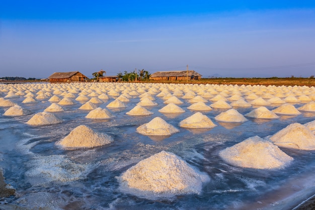 Indústria de sal na luz da manhã na província de phetchaburi, tailândia