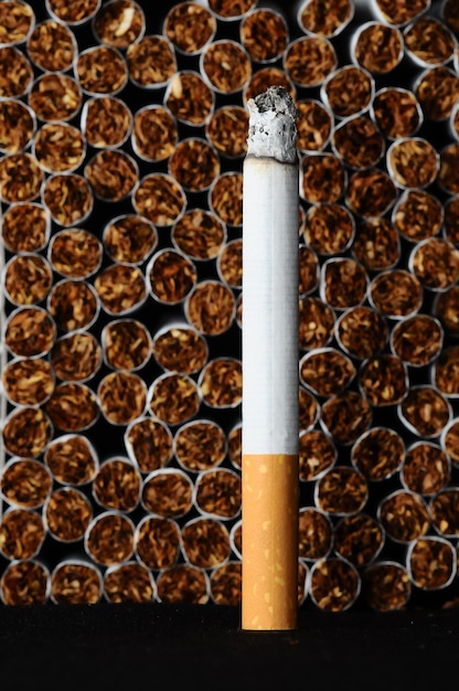 Foto indústria do tabaco