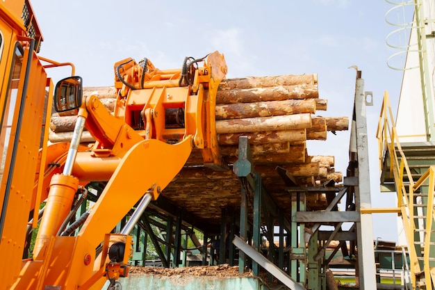 Industria de procesamiento de madera Cargadora con troncos Procesamiento industrial de madera