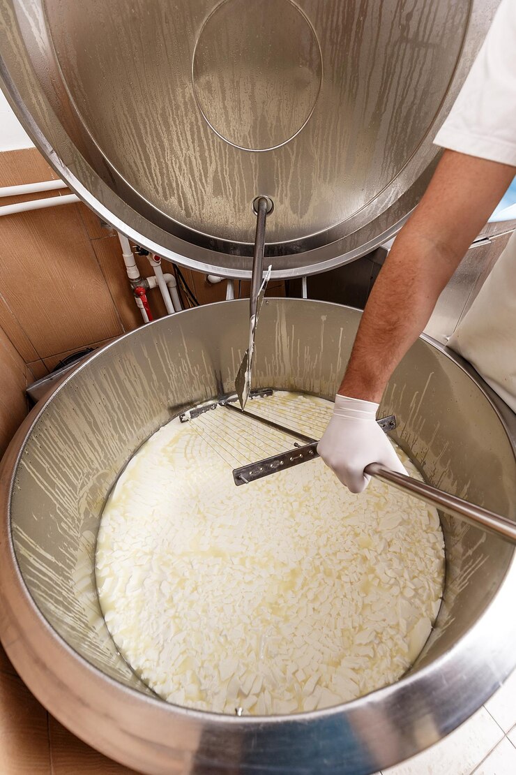 industria del queso