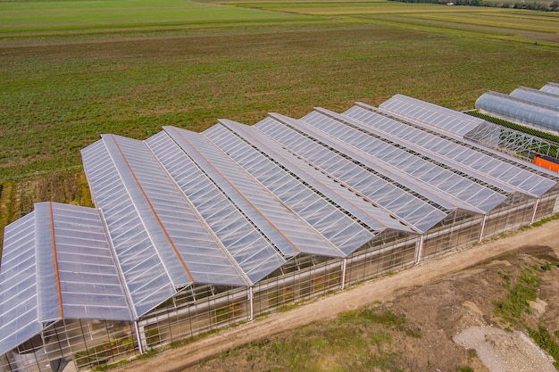 Industrielle landwirtschaftliche Gewächshäuser