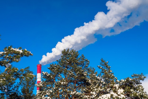 Industrieschornstein mit Rauch auf dem Hintergrund eines Waldes im Winter