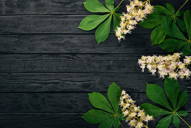 La inflorescencia castaño Plantas medicinales Sobre un fondo de madera Vista superior Espacio de copia