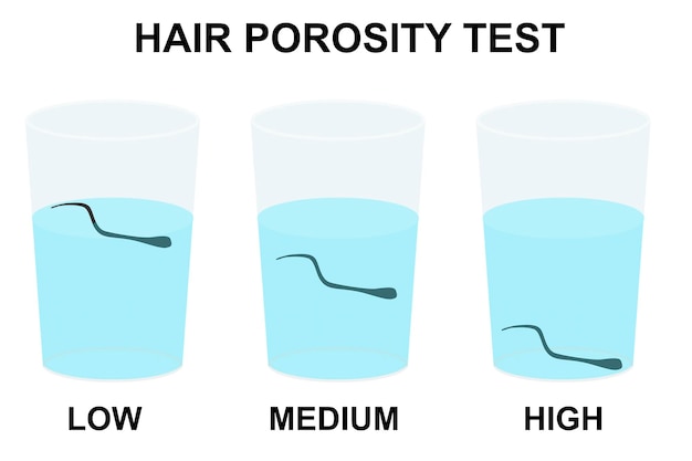 Infográficos de teste de flutuação de porosidade natural do cabelo