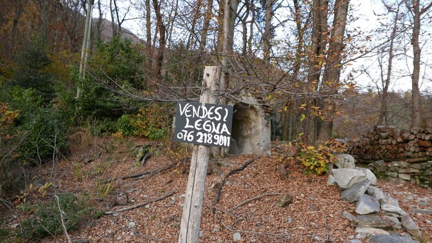 Foto informationsschild im wald