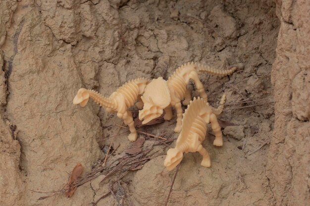 Infrarotbild des Dinosaurier-Spielzeugs der getrocknete Plateau-Hügel
