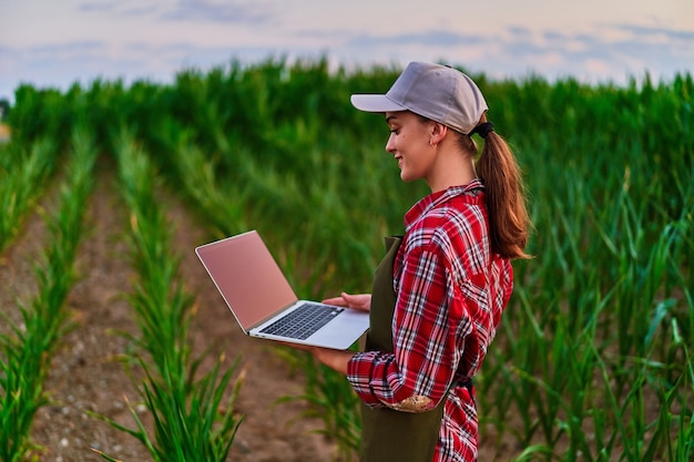 Ingeniero agrónomo agricultor inteligente con computadora digital para examinar e inspeccionar el control de calidad de los cultivos de maíz. Tecnologías modernas en gestión agrícola y agroindustria