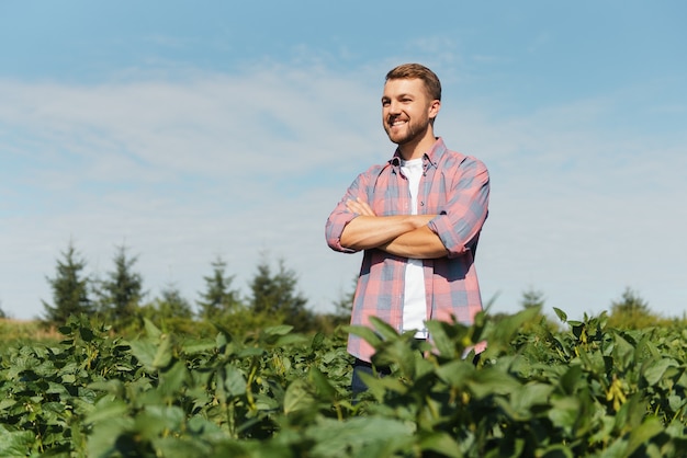 Ingeniero agrónomo inspeccionando cultivos de soja que crecen en el campo agrícola. Concepto de producción agrícola. joven agrónomo examina la cosecha de soja en el campo en verano. Granjero en campo de soja